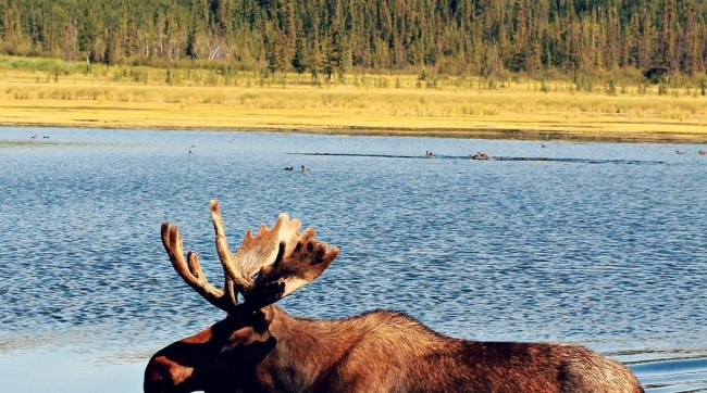 ��������,����:������� ���������,�������,�������� �����